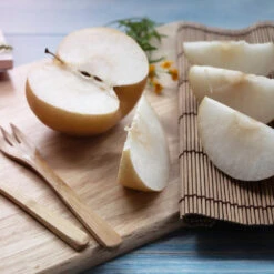 20th Century (Nijisseiki) Asian Pear -Garden Oasis 20thCentury Pear 1 FGT