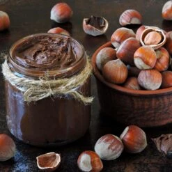 American Hazelnut Filbert 11 American Hazelnut Filbert -Garden Oasis American Hazelnut 1