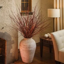 Arctic Fire® Red Twig Dogwood -Garden Oasis Arctic Fire Twig Dogwood 6 FGT