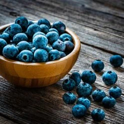 Aurora Blueberry Bush - USDA Organic -Garden Oasis Aurora Blueberry 4 dc5a7e17 d7e4 4799 b1b9 177f422f6847