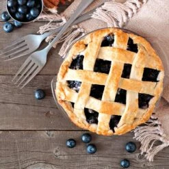 Aurora Blueberry Bush -Garden Oasis Aurora Blueberry 5