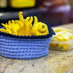 Buddha's Hand Citron 9 Buddha's Hand Citron -Garden Oasis BUddhas Hand Citrus 6 FGT