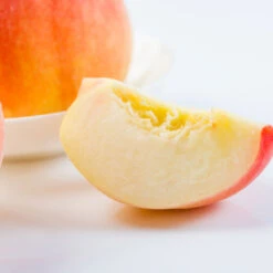 Belle Of Georgia Peach Tree (USDA Organic) 8 Belle Of Georgia Peach Tree (USDA Organic) -Garden Oasis Belle of Georgia 3