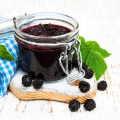 Big Daddy Blackberry Bush -Garden Oasis Big Daddy Blackberry 3