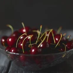 Black Tartarian Cherry Tree 8 Black Tartarian Cherry Tree -Garden Oasis Black Tartarian Cherry Tree 2 FGT