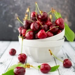 Brooks Cherry Tree 7 Brooks Cherry Tree -Garden Oasis Brooks Cherry Tree 5 FGT