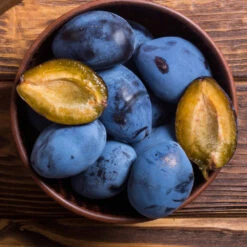 Brooks Plum Tree 9 Brooks Plum Tree -Garden Oasis Brooks Plum 2