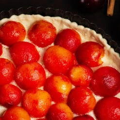 Bubblegum 'Toka' Plum Tree 9 Bubblegum 'Toka' Plum Tree -Garden Oasis Bubblegum Toka Plum 3