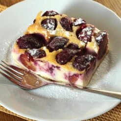 Burgundy Plum Tree 9 Burgundy Plum Tree -Garden Oasis Burgundy Plum 3