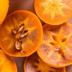 Chocolate Persimmon Tree -Garden Oasis CHocolate Persimmon 2