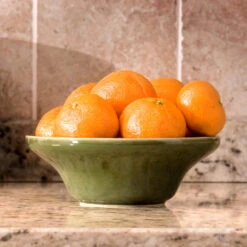 Calamondin Bush -Garden Oasis Calamondin Bush 4