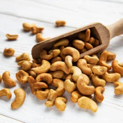 Cashew Tree -Garden Oasis Cashew Nut Tree 5