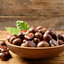 Chinese Chestnut Tree -Garden Oasis Chinese Chestnut 3 FGT