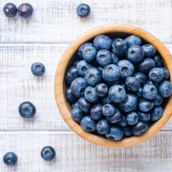 Climax Blueberry 10 Climax Blueberry -Garden Oasis Climax Blueberry 4