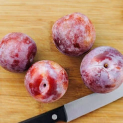 Dapple Dandy Pluot Tree -Garden Oasis Dapple Dandy 2