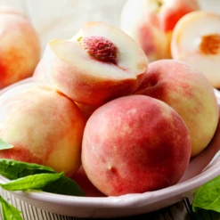 Early White Giant Peach Tree 5 Early White Giant Peach Tree -Garden Oasis Early White Giant Peach Tree 450 D1