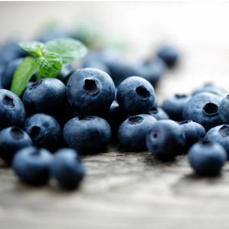 Elliot Blueberry Bush 4 Elliot Blueberry Bush - Image 4