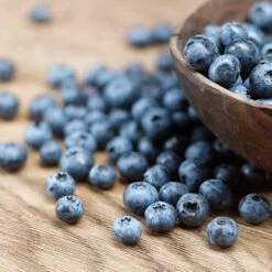 Emerald Blueberry Bush -Garden Oasis Emerald Blueberries 1