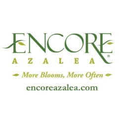 Autumn Belle® Encore® Azalea Shrub -Garden Oasis Encore Logo 1000x1000 f5ab977c d52a 42c7 bcc7 eb2c9ea0b488