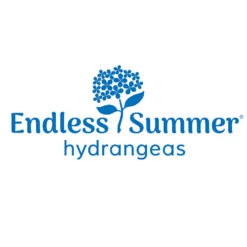Endless Summer® Summer Crush® Hydrangea -Garden Oasis Endless Summer Hydrangeas 1000x1000 347a4889 45a5 42f4 94f1 e0220955e380