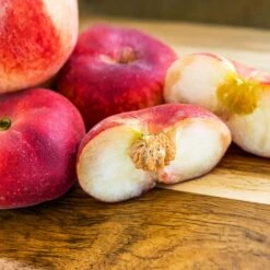 Galaxy Peach Tree 8 Galaxy Peach Tree -Garden Oasis Galaxy Peach Tree 2