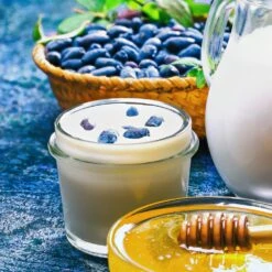 Indigo Gem Haskap (Honeyberry) -Garden Oasis Indigo GEm Haskap 1