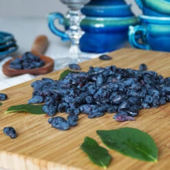 Indigo Treat Haskap (Honeyberry) 6 Indigo Treat Haskap (Honeyberry) -Garden Oasis Indigo Treat Hascap 2 BB