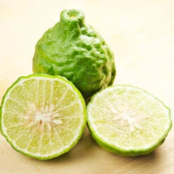 Kaffer 'Kieffer' Lime Tree -Garden Oasis Kaffir Lime 7 FGT