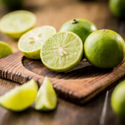 Key Lime Tree 11 Key Lime Tree -Garden Oasis Key Lime Tree 5 FGT