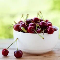 Lapins Cherry Tree -Garden Oasis Lapins Cherry Tree 2 FGT 325a18e6 7143 4729 a41b b0d9614909b8