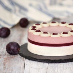 Methley Plum Tree -Garden Oasis Methley Plum 5 d1cf4da0 c7c8 4a54 8dce 9916c07f2fa6