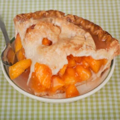 O'Henry Peach Tree -Garden Oasis OHenry Peach 4