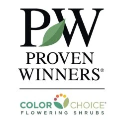 Wine & Roses® Weigela Shrub 9 Wine & Roses® Weigela Shrub -Garden Oasis PW Logo CC 1000x1000 037894e9 e570 45f9 bb8a 2ce48bb09ea2