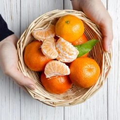 Page Mandarin Tree -Garden Oasis Page Mandarin Tree 2 FGT