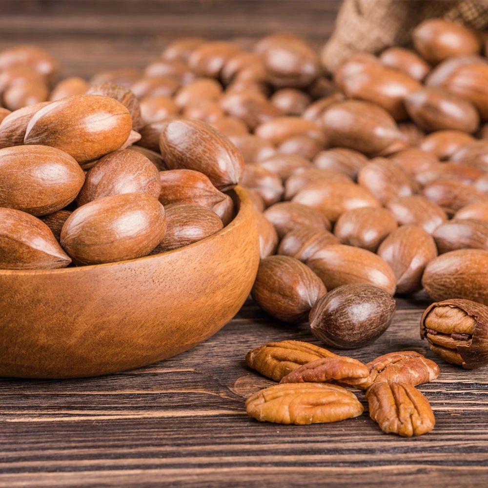 Pawnee Pecan Tree 4 Pawnee Pecan Tree - Image 4