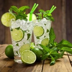 Persian 'Bearss' Lime Tree - USDA Organic -Garden Oasis Persian Lime Tree 4 FGT 3e2376b1 dd45 4777 a1e5 8c0e252ea773