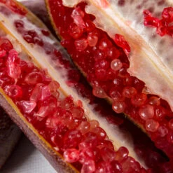 Red Finger Lime Tree -Garden Oasis Red FInger Lime 1 1453b836 c1a1 4844 92f1 11e49d09cc4d