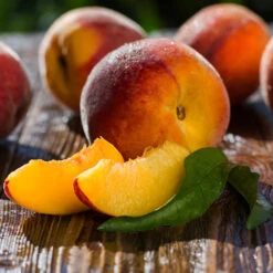 Red Baron Peach Tree 9 Red Baron Peach Tree -Garden Oasis Red Baron Peach 4