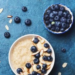 Reveille Blueberry Bush -Garden Oasis Reville Blueberry 2