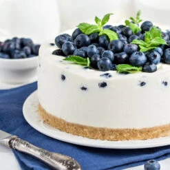 Sunshine Blue Blueberry Bush -Garden Oasis SUnshine BLue Blueberry 4