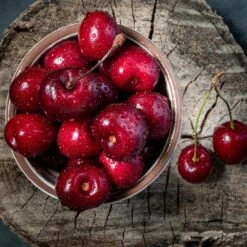 Santina™ Cherry Tree -Garden Oasis Santina Cherry 1