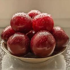 Satsuma Plum Tree -Garden Oasis Satsuma Plum 3