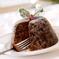 Satsuma Plum Tree -Garden Oasis Satsuma Plum 4