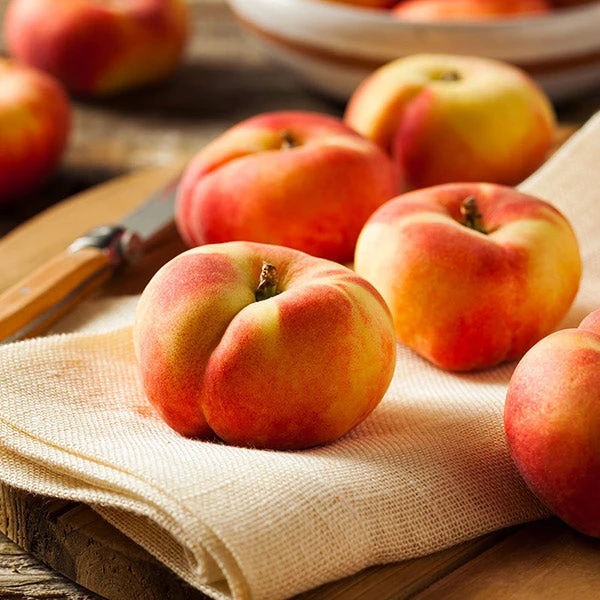 Donut Saturn Peach Tree 1 Donut Saturn Peach Tree