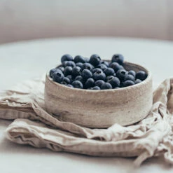 Sharpblue Blueberry Bush 5 Sharpblue Blueberry Bush -Garden Oasis Sharpblue Blueberry 1