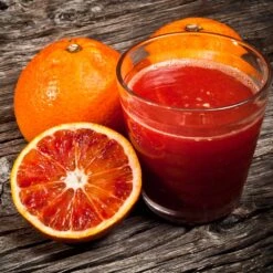 Smith Red Orange -Garden Oasis Smith Red Orange 3 FGT