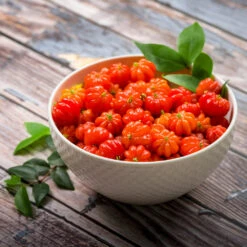 Star Cherry Tree (Pitanga) -Garden Oasis Star Cherry 3 FGT