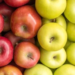 4-in-1 Apple Surprise Tree 6 4-in-1 Apple Surprise Tree -Garden Oasis Surprise Apple 1 fd4b319d eb68 4ca8 b9dc 6ed8dd5560c3