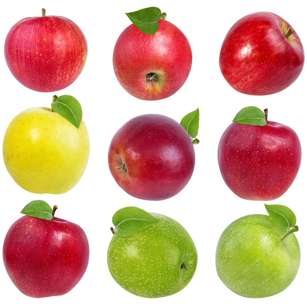 4-in-1 Apple Surprise Tree 2 4-in-1 Apple Surprise Tree - Image 2