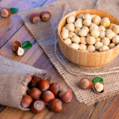 Theta Filbert Hazelnut 7 Theta Filbert Hazelnut -Garden Oasis THeta FIlbert Hazelnut 4